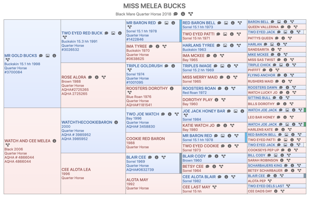 Miss Melea Bucks Pedigree