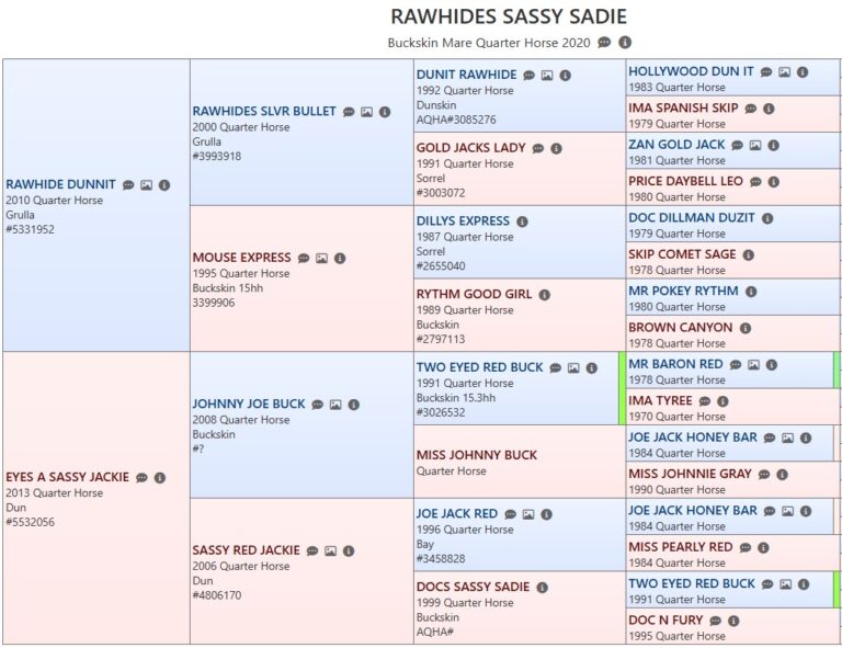 Rawhides Sassy Sadie – Bryant-Ranch